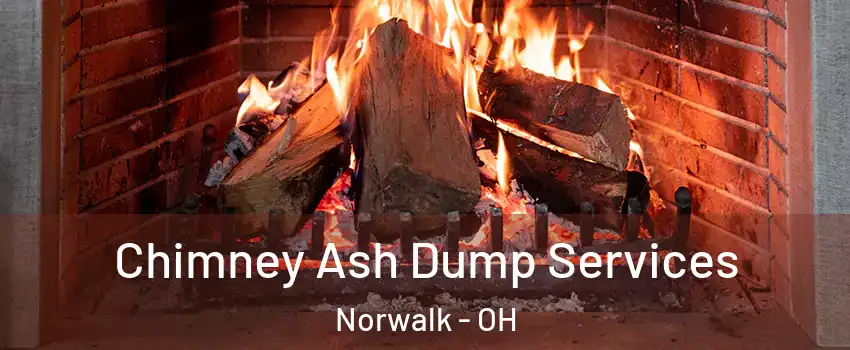  Chimney Ash Dump Services Norwalk - OH