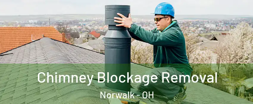  Chimney Blockage Removal Norwalk - OH