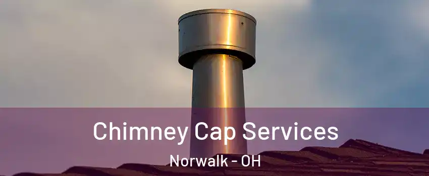  Chimney Cap Services Norwalk - OH