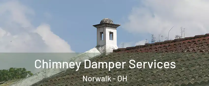  Chimney Damper Services Norwalk - OH