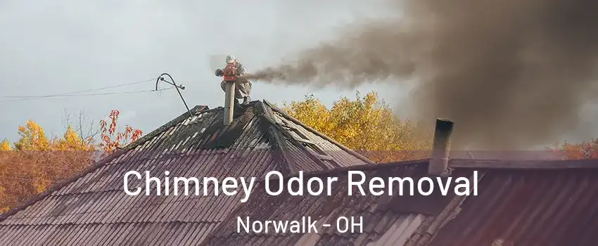  Chimney Odor Removal Norwalk - OH