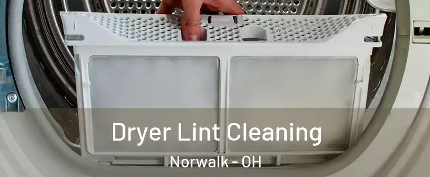  Dryer Lint Cleaning Norwalk - OH