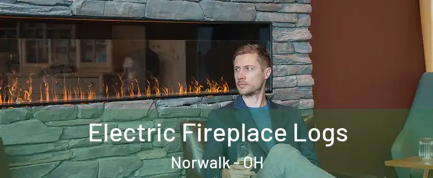 Electric Fireplace Logs Norwalk - OH