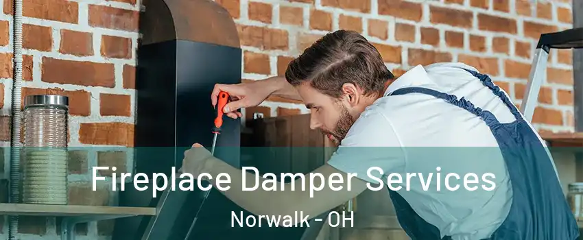  Fireplace Damper Services Norwalk - OH