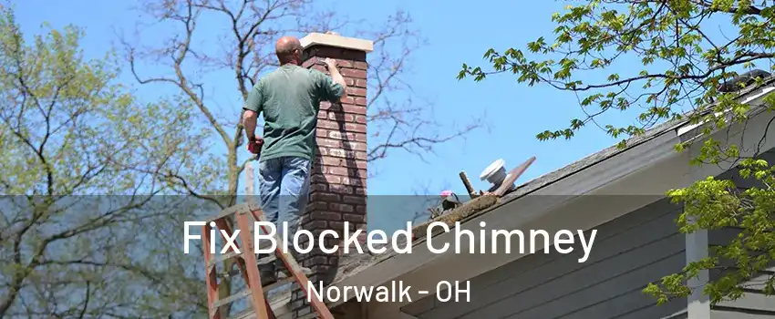  Fix Blocked Chimney Norwalk - OH