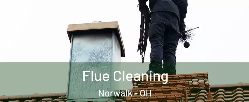  Flue Cleaning Norwalk - OH
