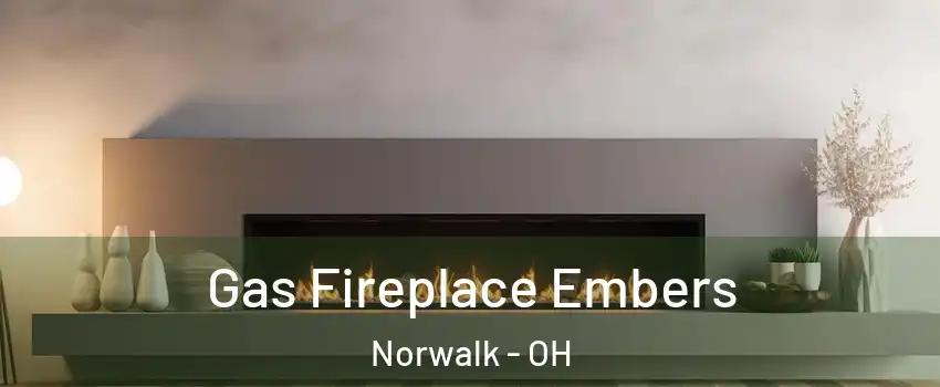  Gas Fireplace Embers Norwalk - OH