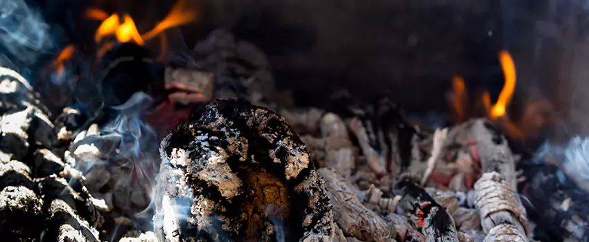 Creosote Removal Experts in Norwalk, OH