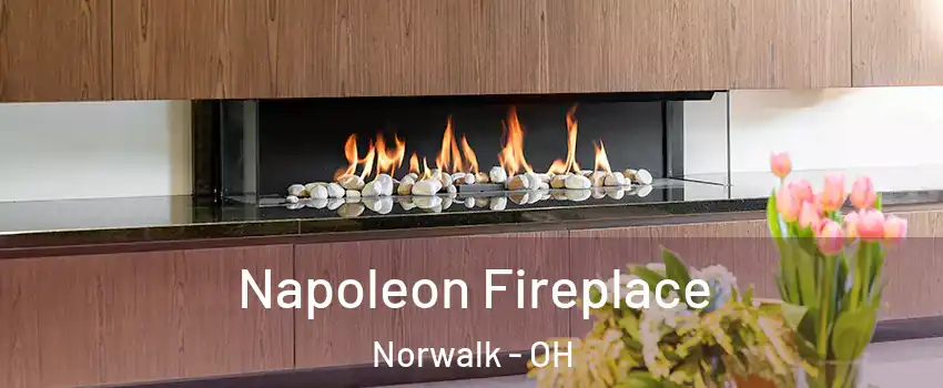  Napoleon Fireplace Norwalk - OH