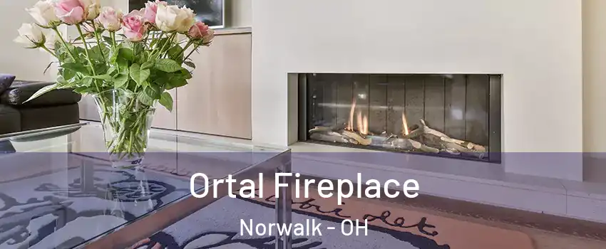 Ortal Fireplace Norwalk - OH