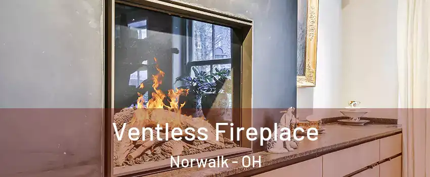  Ventless Fireplace Norwalk - OH